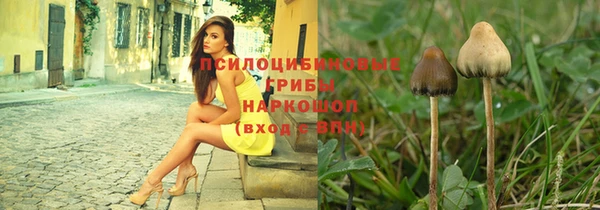 Альфа ПВП Надым