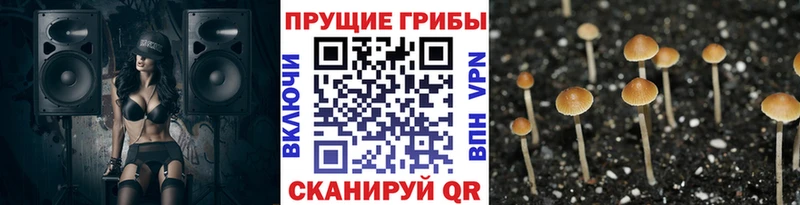 Галлюциногенные грибы прущие грибы Купить Красково